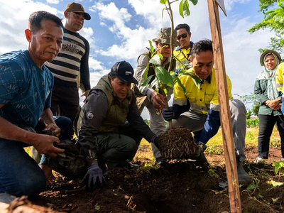 Planting Hope on the Edge of West Sumbawa Forest: The Story of AMMAN and the Talonang Village Community