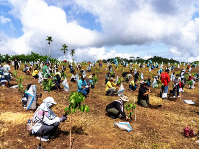 Indonesian Tree Planting Day: AMMAN Plants Over 50 Thousand Seedlings
