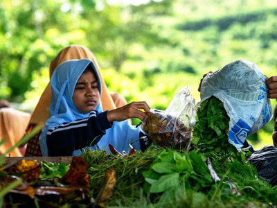 Cultivating a Greener Future:  AMMAN Supports National Adiwiyata Green School Honors in West Sumbawa