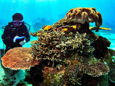 Beyond Compliance in Social and Environmental Standards, AMMAN Achieves 2026 Green PROPER Rating