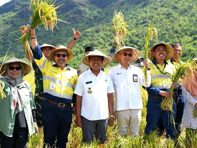 Transforming with AMMAN: Shifting to Organic Farming, West Sumbawa Farmers Double Their Harvest Yield